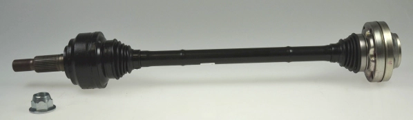 304544