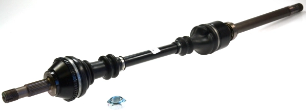 303049
