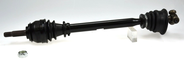 304507