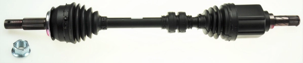 306437