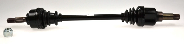 304541