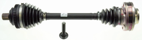 304361