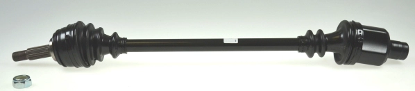 304513