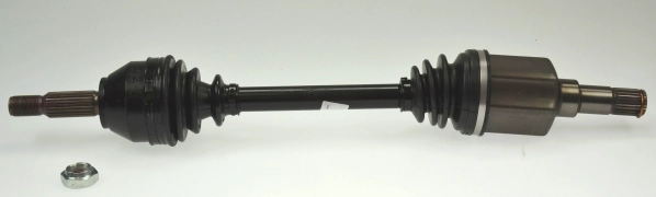 305035