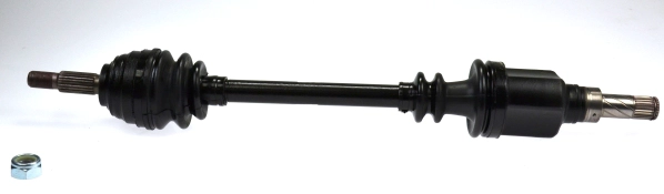 304801