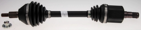 306407