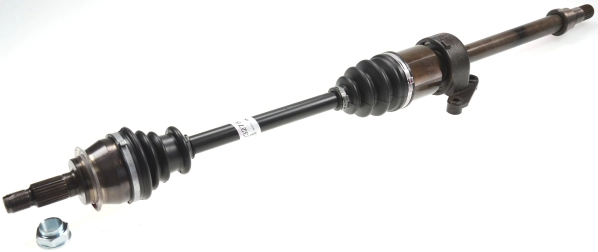 304213