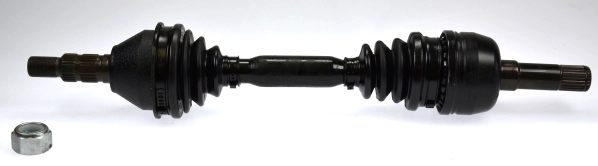 304874