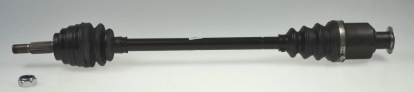 304464