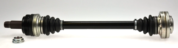 304663