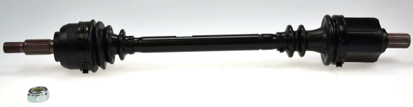 304564