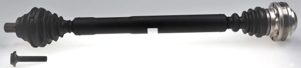 306295