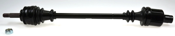 304364