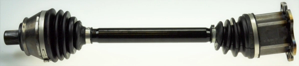 306460