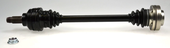 304497