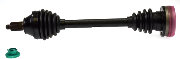 304619