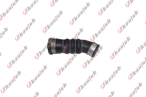 BM-TH013