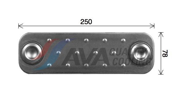 30031010