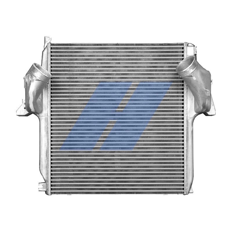 20033906