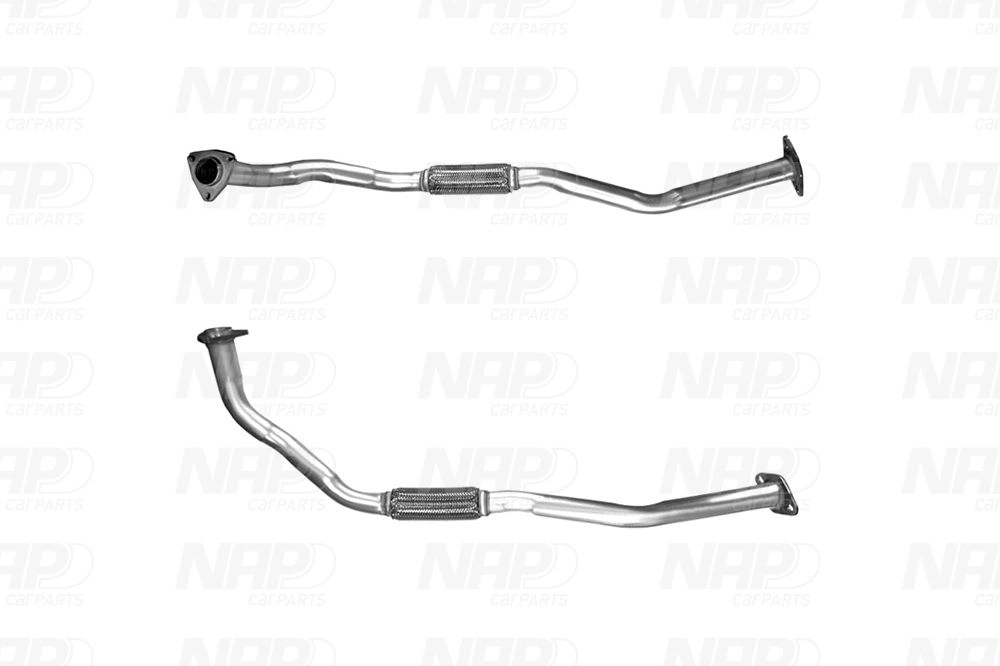 CAC10031