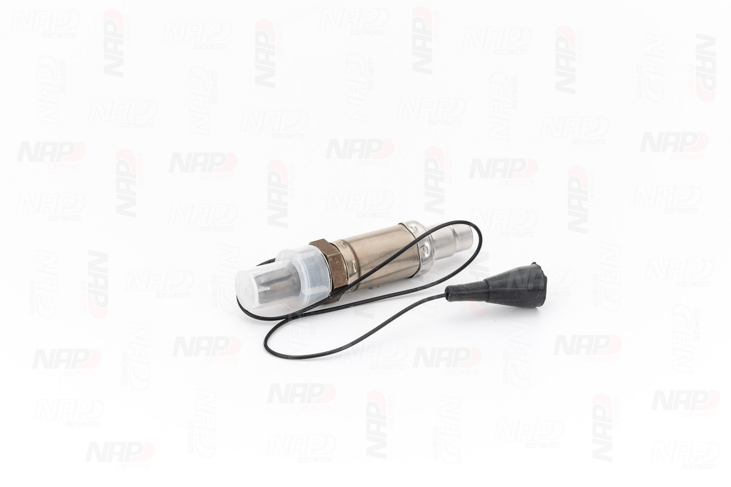 CLS10013