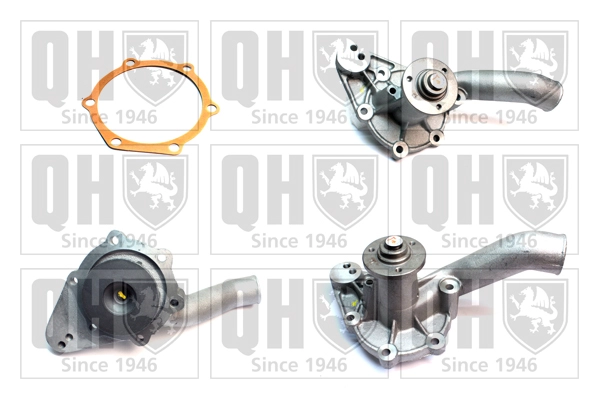 QCP2506
