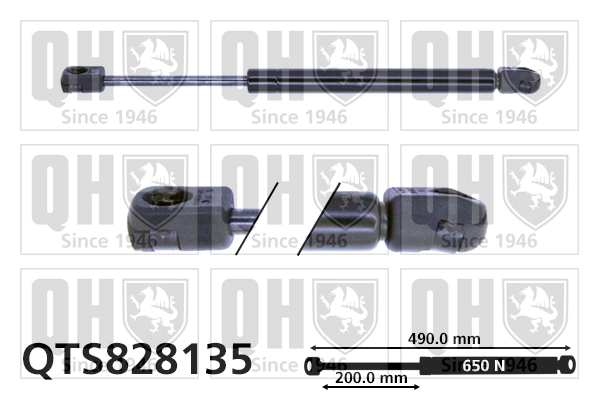 QTS828135
