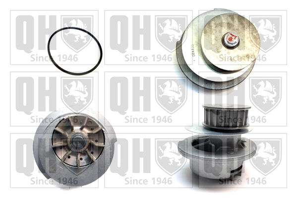 QCP2513