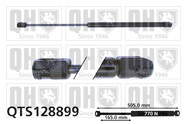 QTS128899