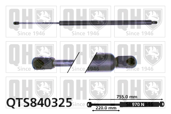 QTS840325