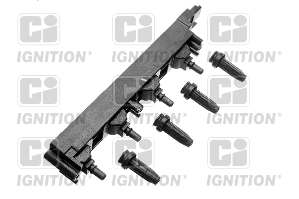XIC8219