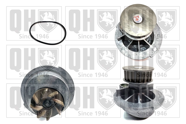 QCP3517