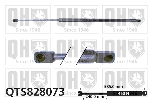 QTS828073