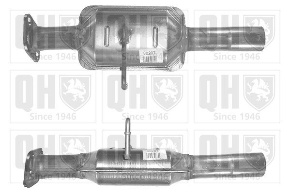 QCAT80207