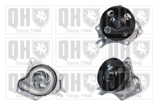 QCP3637
