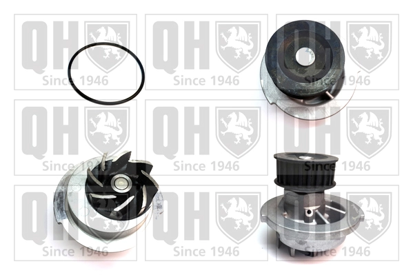 QCP3486