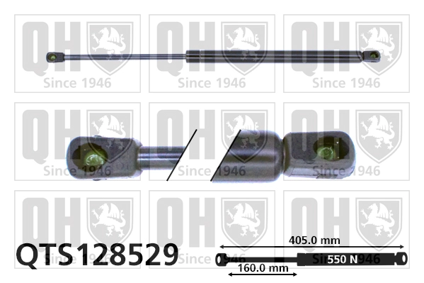 QTS128529