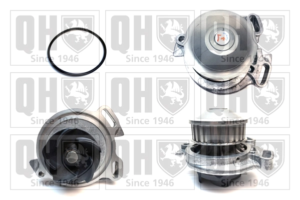 QCP2226