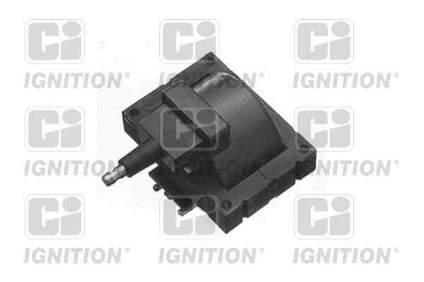 XIC8076