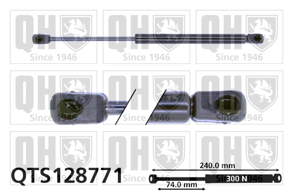 QTS128771