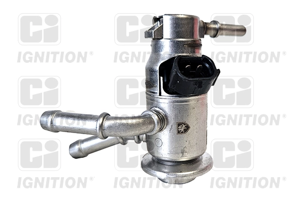 XPSI181