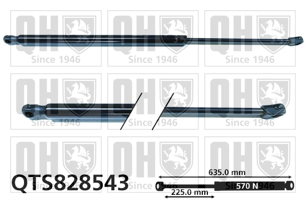 QTS828543