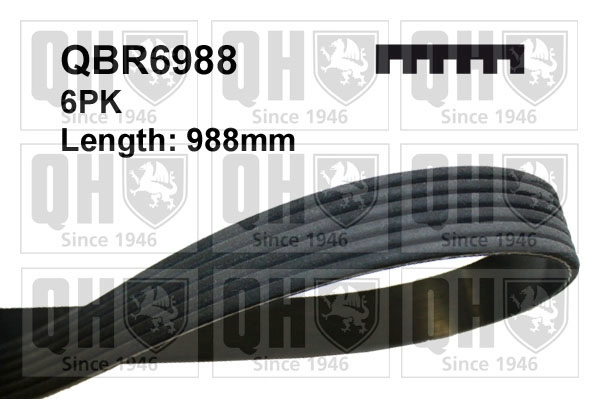 QBR6988