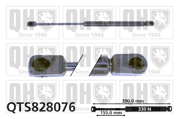 QTS828076