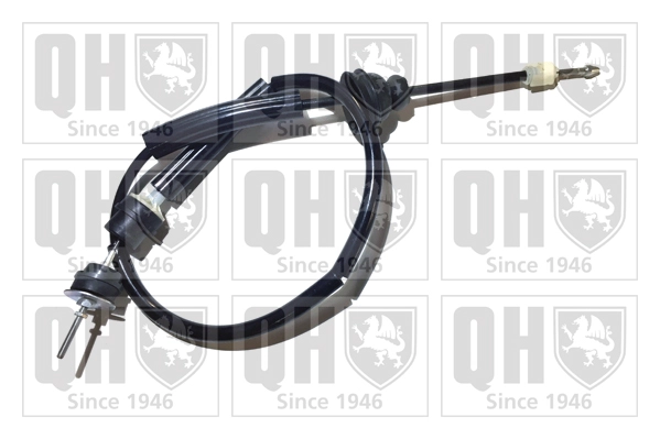 QCC1789