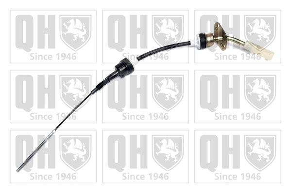 QCC1956