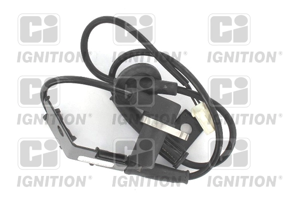 XABS219