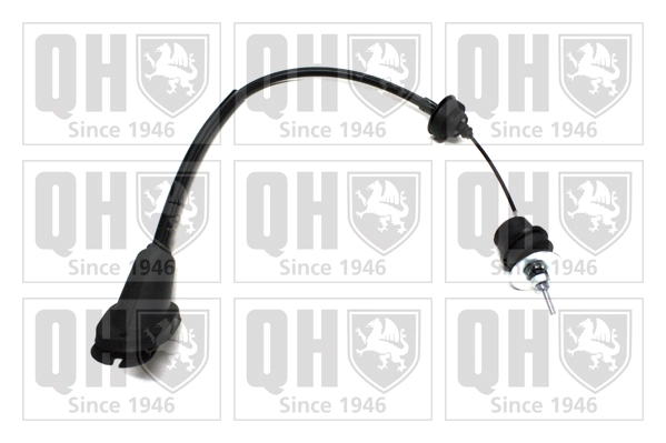 QCC1807