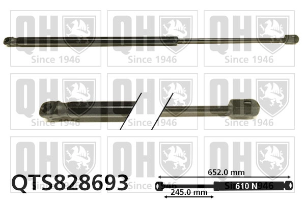 QTS828693