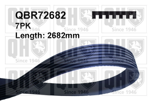 QBR72682